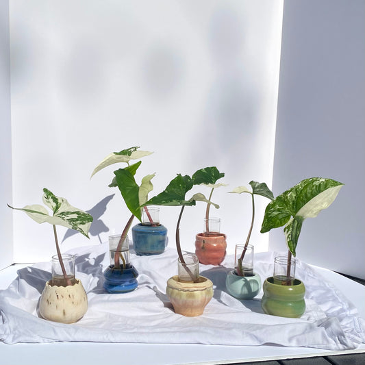 Propagation Jars