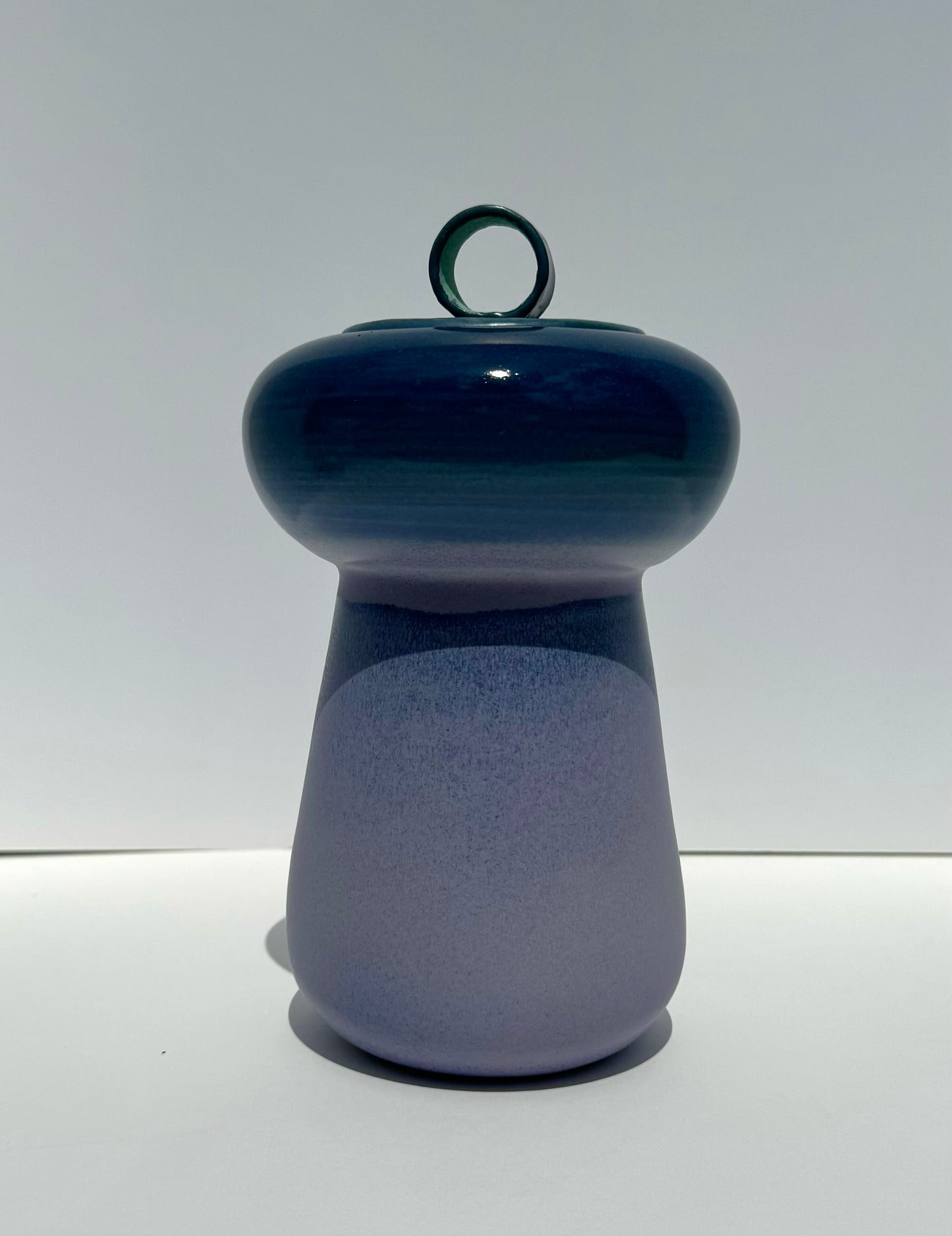 Purple Curvy Vase