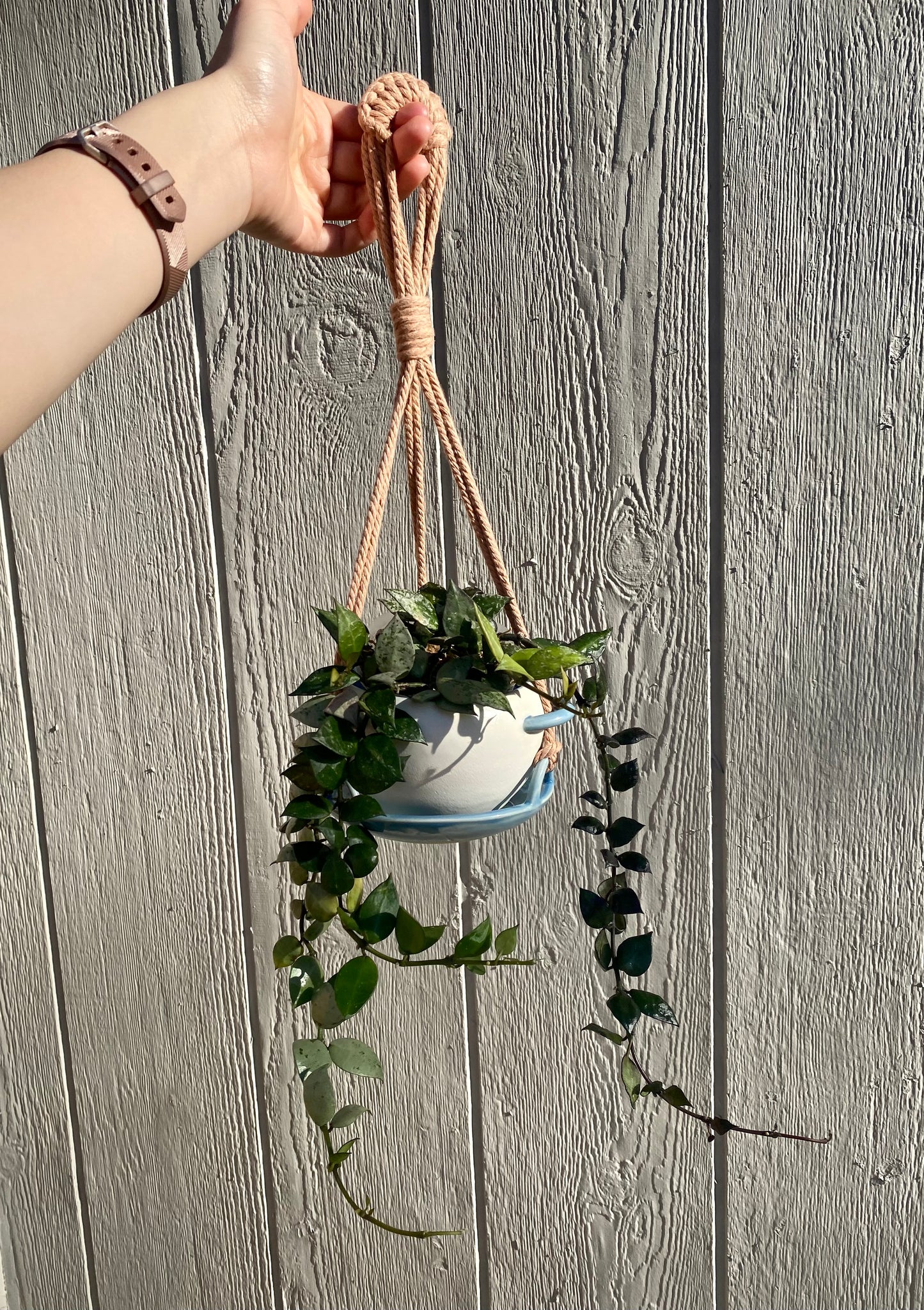 Hanging planter set